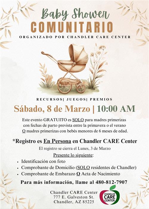 Community Baby Shower Spanish